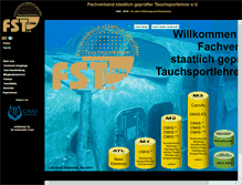 Tablet Screenshot of fst-ev.com